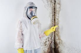 Best Airborne Mold Testing  in Lakeland Village, CA